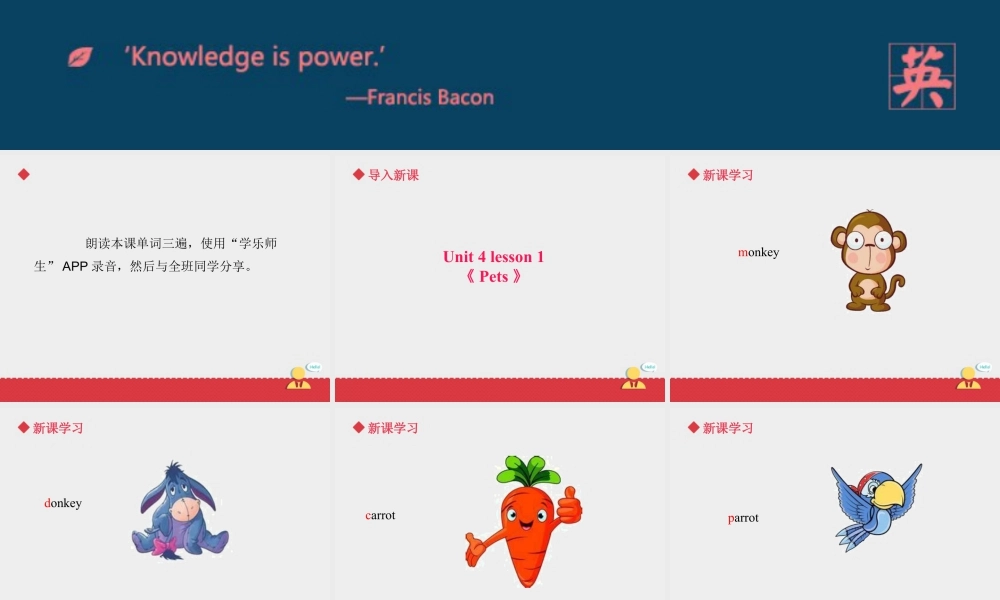 人教（新起点）英语三年级上册 Unit+4 lesson 1《pets》课件.ppt