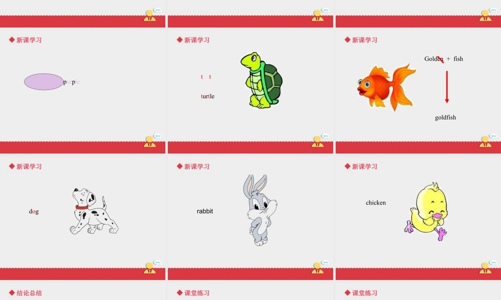 人教（新起点）英语三年级上册 Unit+4 lesson 1《pets》课件.ppt
