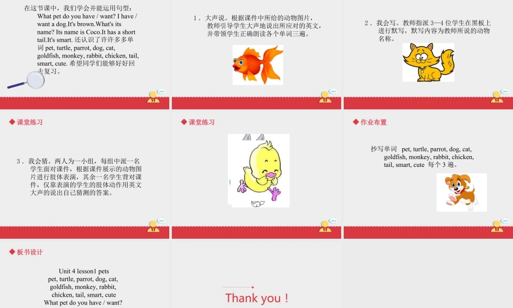 人教（新起点）英语三年级上册 Unit+4 lesson 1《pets》课件.ppt