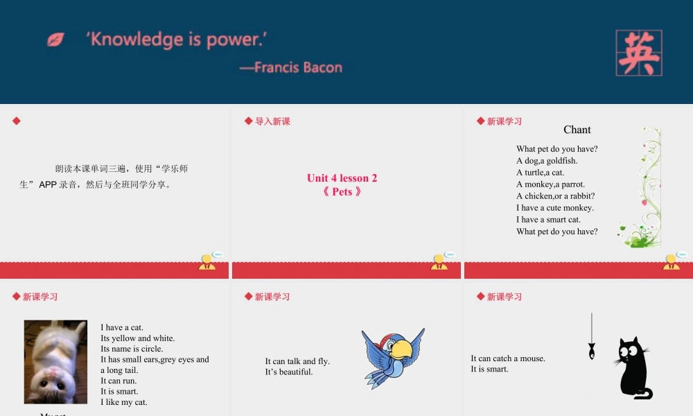 人教（新起点）英语三年级上册 Unit+4 lesson 2《pets》课件.ppt