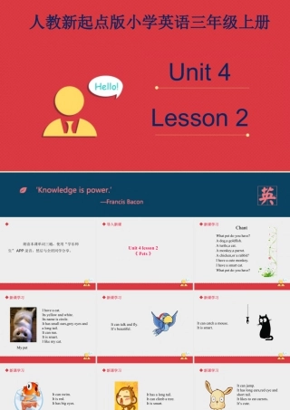 人教（新起点）英语三年级上册 Unit+4 lesson 2《pets》课件.ppt