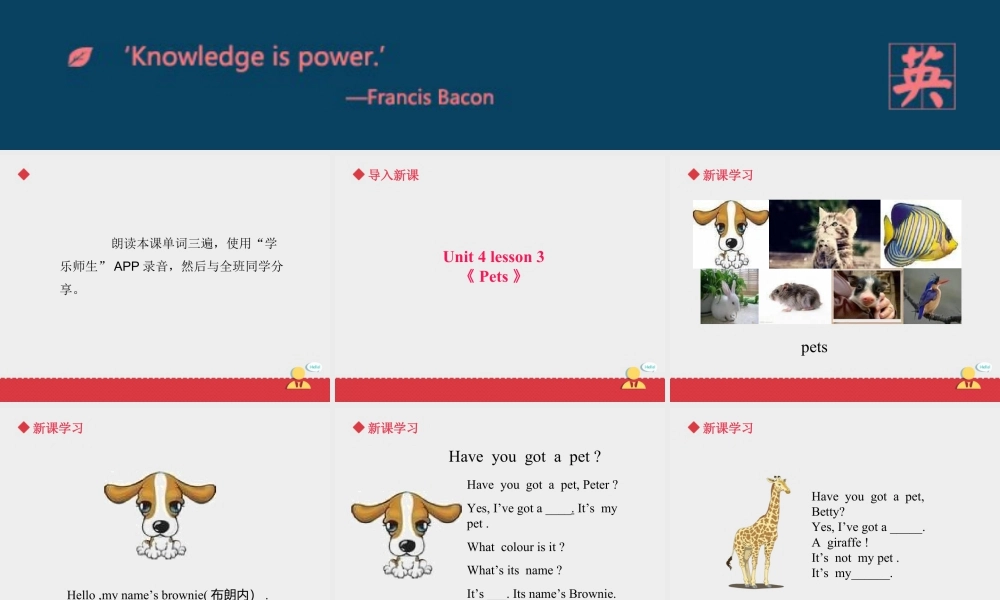 人教（新起点）英语三年级上册 Unit+4 lesson 3《pets》课件.ppt