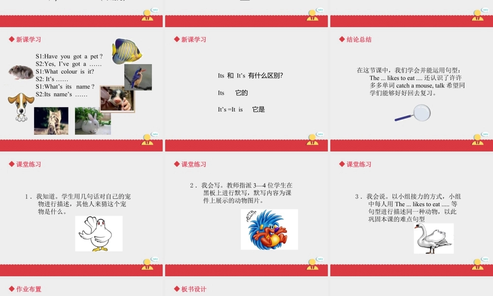 人教（新起点）英语三年级上册 Unit+4 lesson 3《pets》课件.ppt