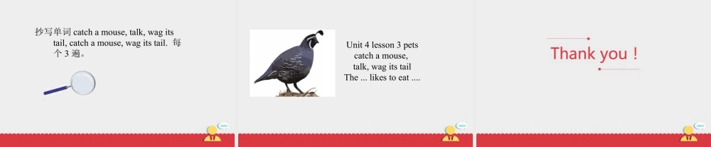 人教（新起点）英语三年级上册 Unit+4 lesson 3《pets》课件.ppt