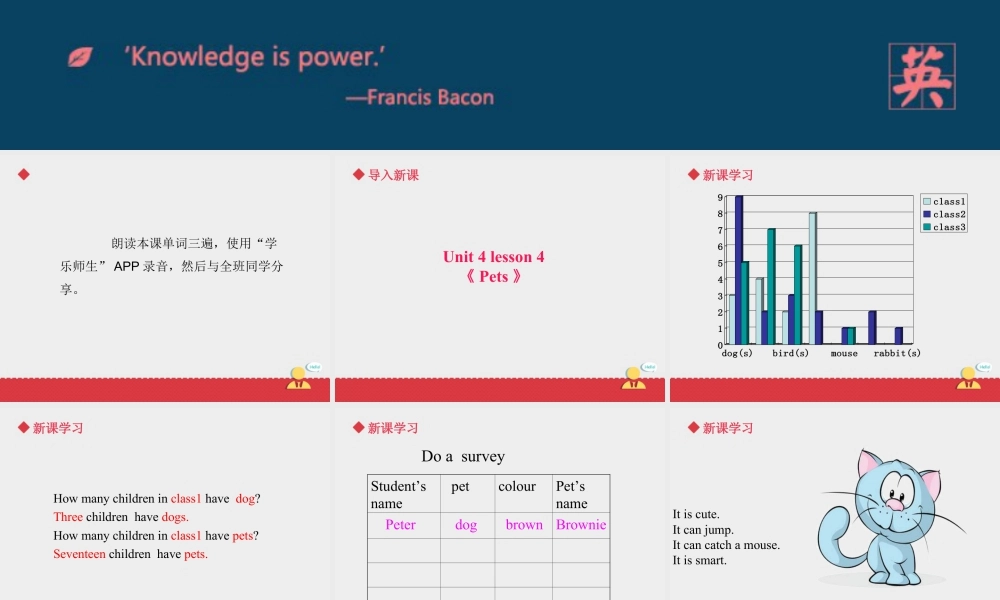 人教（新起点）英语三年级上册 Unit+4 lesson4《pets》课件.ppt