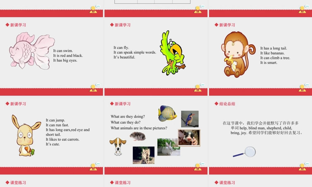 人教（新起点）英语三年级上册 Unit+4 lesson4《pets》课件.ppt