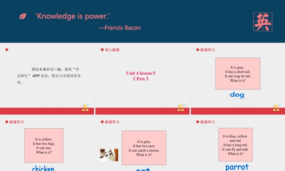 人教（新起点）英语三年级上册 Unit+4 lesson5《pets》课件.ppt