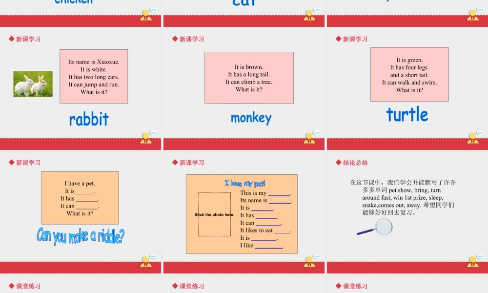 人教（新起点）英语三年级上册 Unit+4 lesson5《pets》课件.ppt