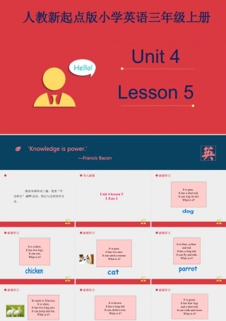 人教（新起点）英语三年级上册 Unit+4 lesson5《pets》课件.ppt