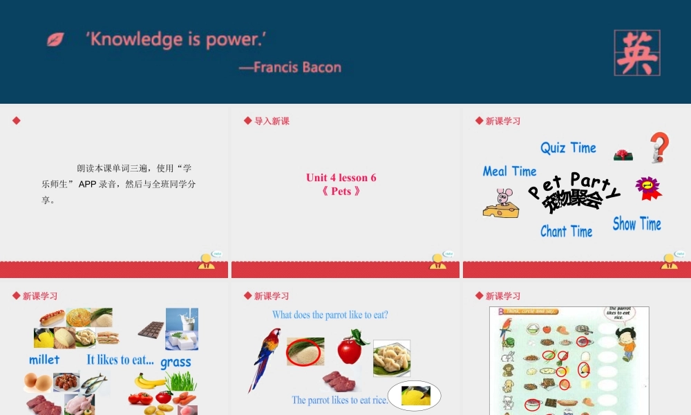 人教（新起点）英语三年级上册 Unit+4 lesson6《pets》课件.ppt