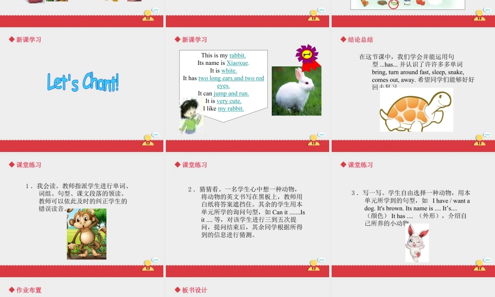 人教（新起点）英语三年级上册 Unit+4 lesson6《pets》课件.ppt