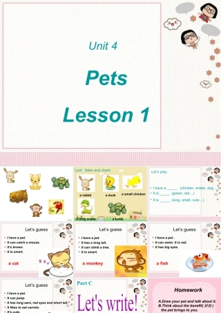 人教（新起点）英语三年级上册 Unit4 Pets Lesson1 课件.ppt