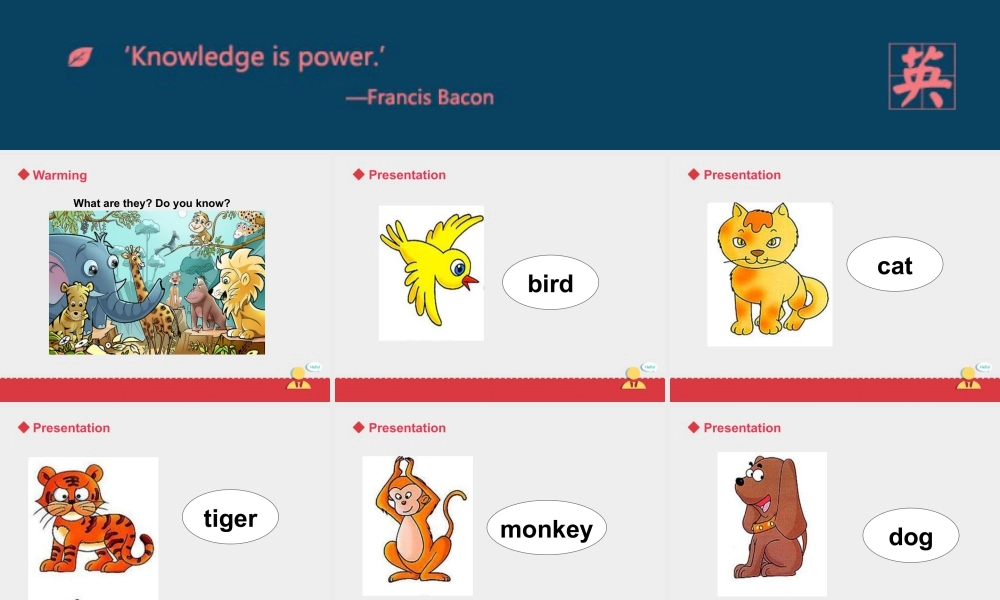 人教版新起点1年级上unit 3 第1课时.ppt