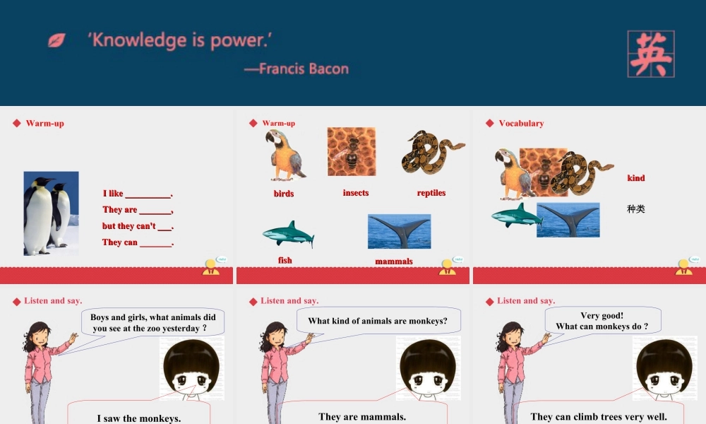 人教版新起点第六年级上册 Unit3 课件——第二课时.ppt