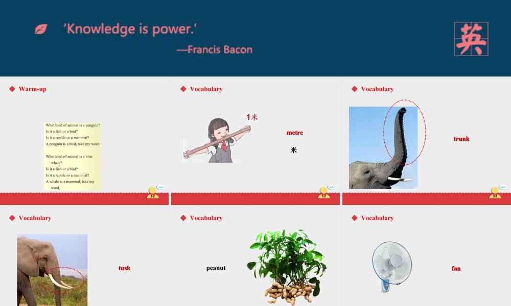 人教版新起点第六年级上册 Unit3 课件——第三课时.ppt