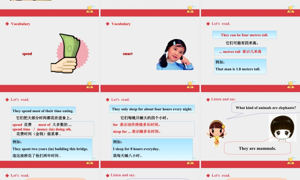 人教版新起点第六年级上册 Unit3 课件——第三课时.ppt