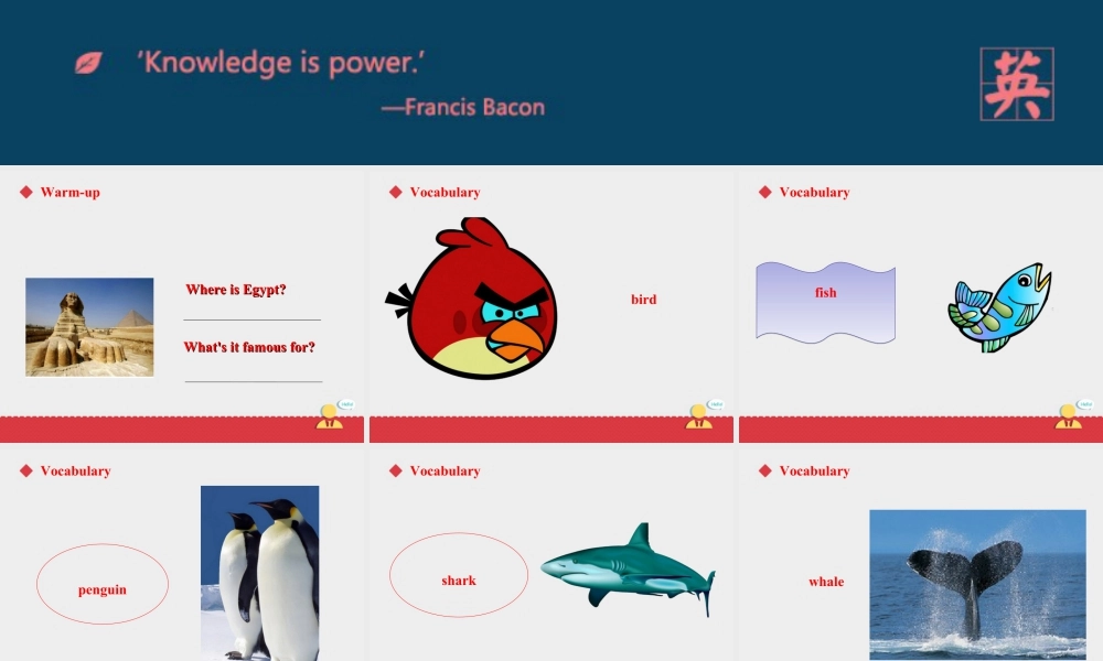 人教版新起点第六年级上册 Unit3 课件——第一课时.ppt