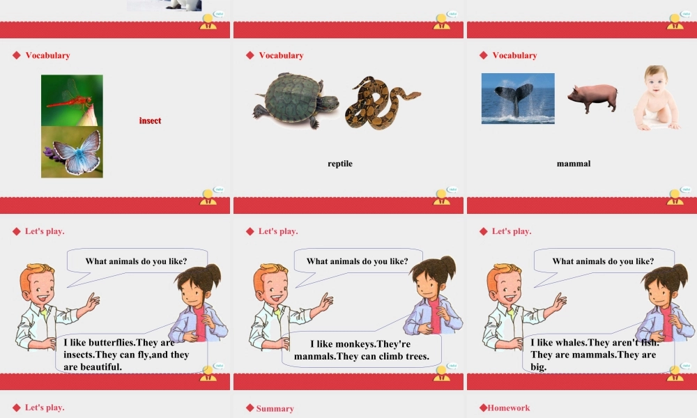 人教版新起点第六年级上册 Unit3 课件——第一课时.ppt