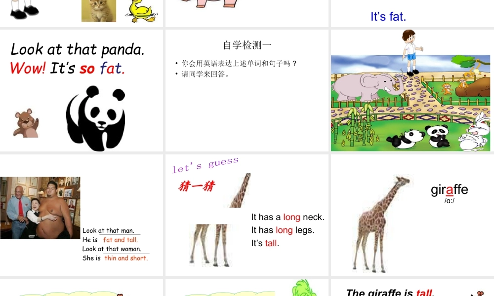 三年级下英语课件-Unit 3 At  the zoo-人教新起点.ppt