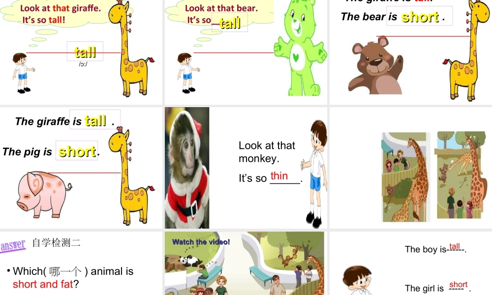 三年级下英语课件-Unit 3 At  the zoo-人教新起点.ppt