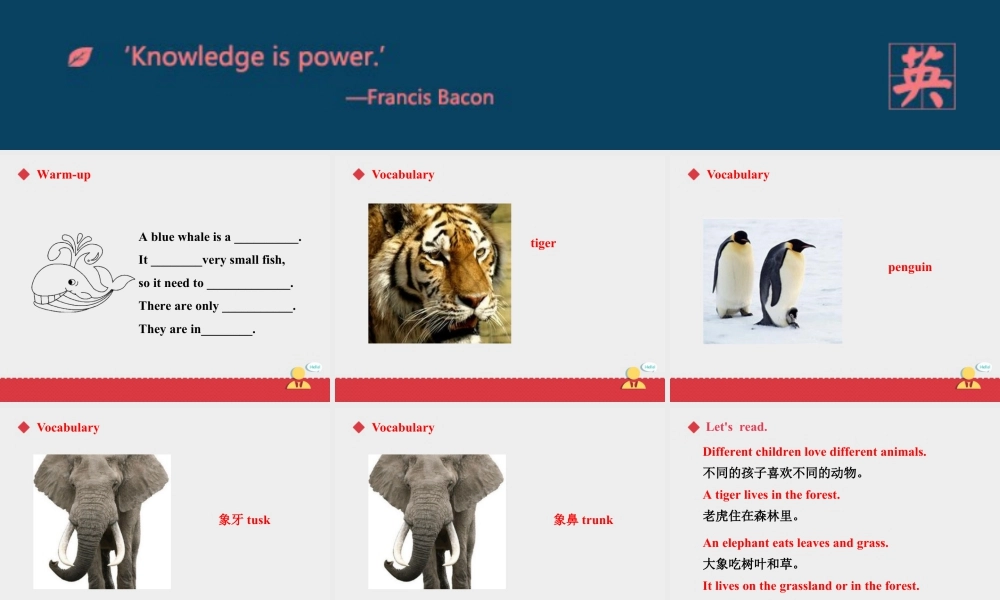 小学英语人教新起点五年级上册Unit3 课件 第3课时.ppt