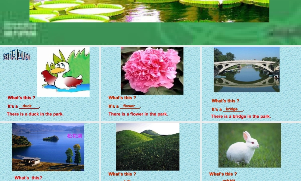 英语二年级上人教版(新起点)课件.ppt