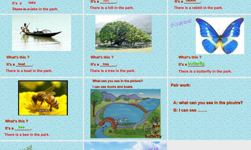 英语二年级上人教版(新起点)课件.ppt