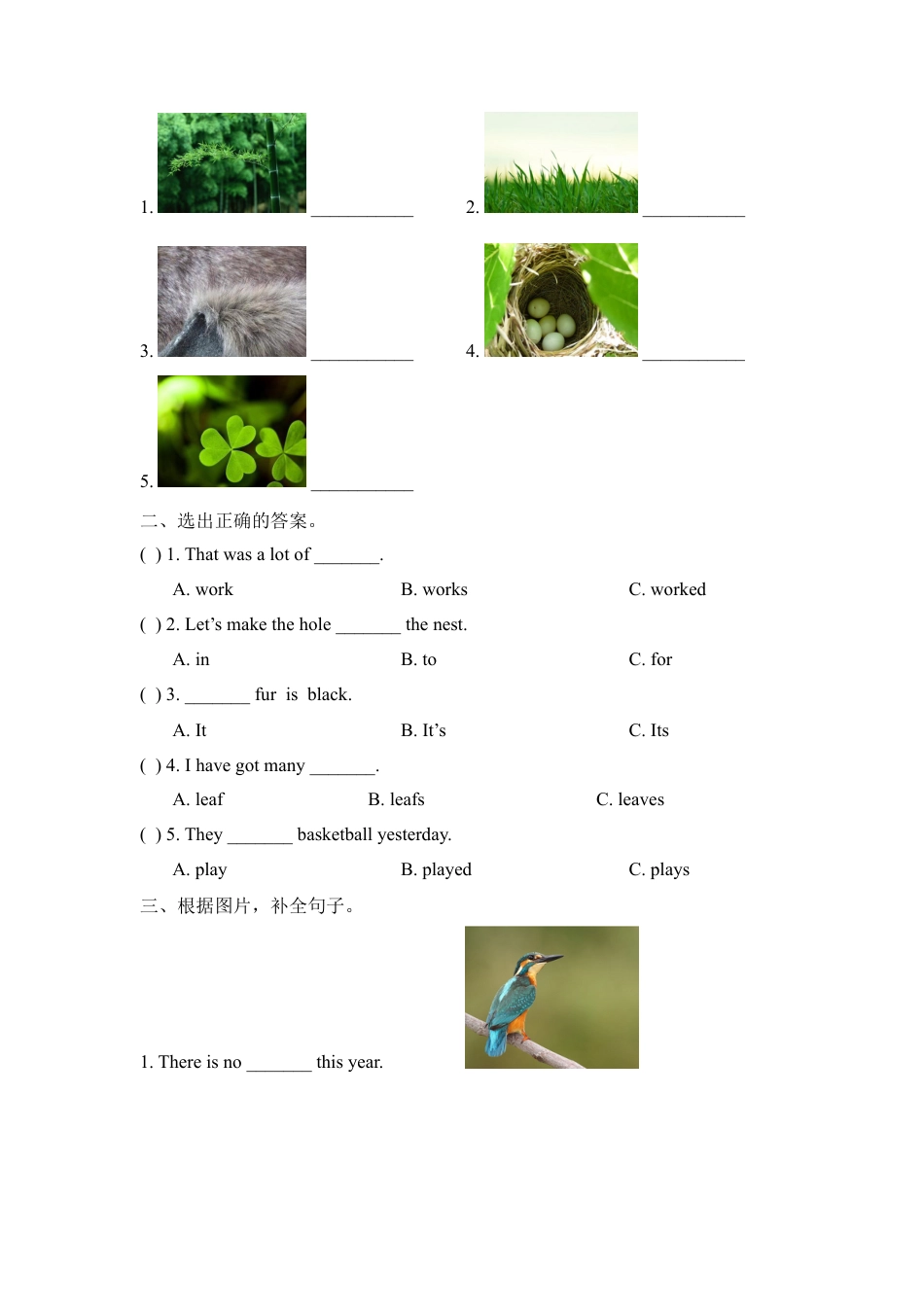 外研版小学英语六年级上-Unit5 Animals in danger单元测试卷.doc_第2页