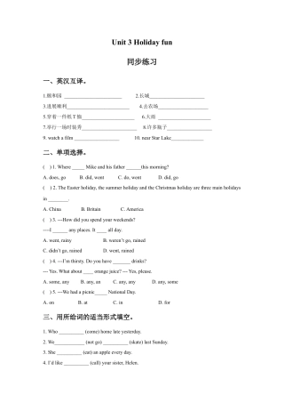 小学英语牛津译林版-Unit 3 Holiday fun 同步练习3.doc