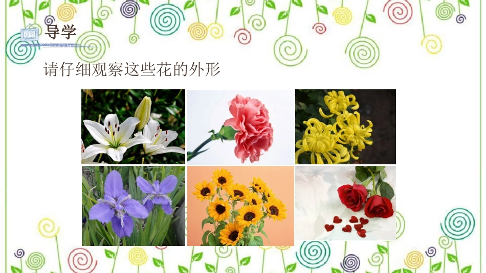 11.花儿寄深情（课件）-美术一年级上册.pdf_第3页