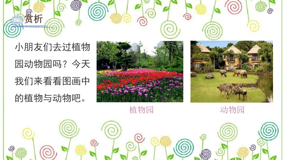 20.美丽的植物和动物（课件）-美术一年级上册.pdf_第3页