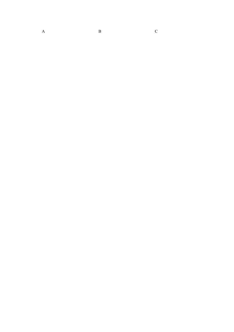 初中英语七年级上册-Module 10 Spring Festival 话题10 文化与习俗（基础版） 试题.docx_第2页