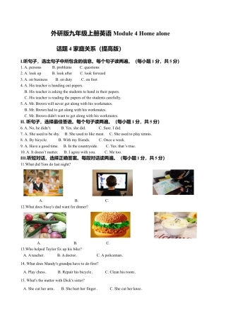 外研版九年级上册试题-Module 4 Home alone 话题4 家庭关系（提高版） 试题.doc