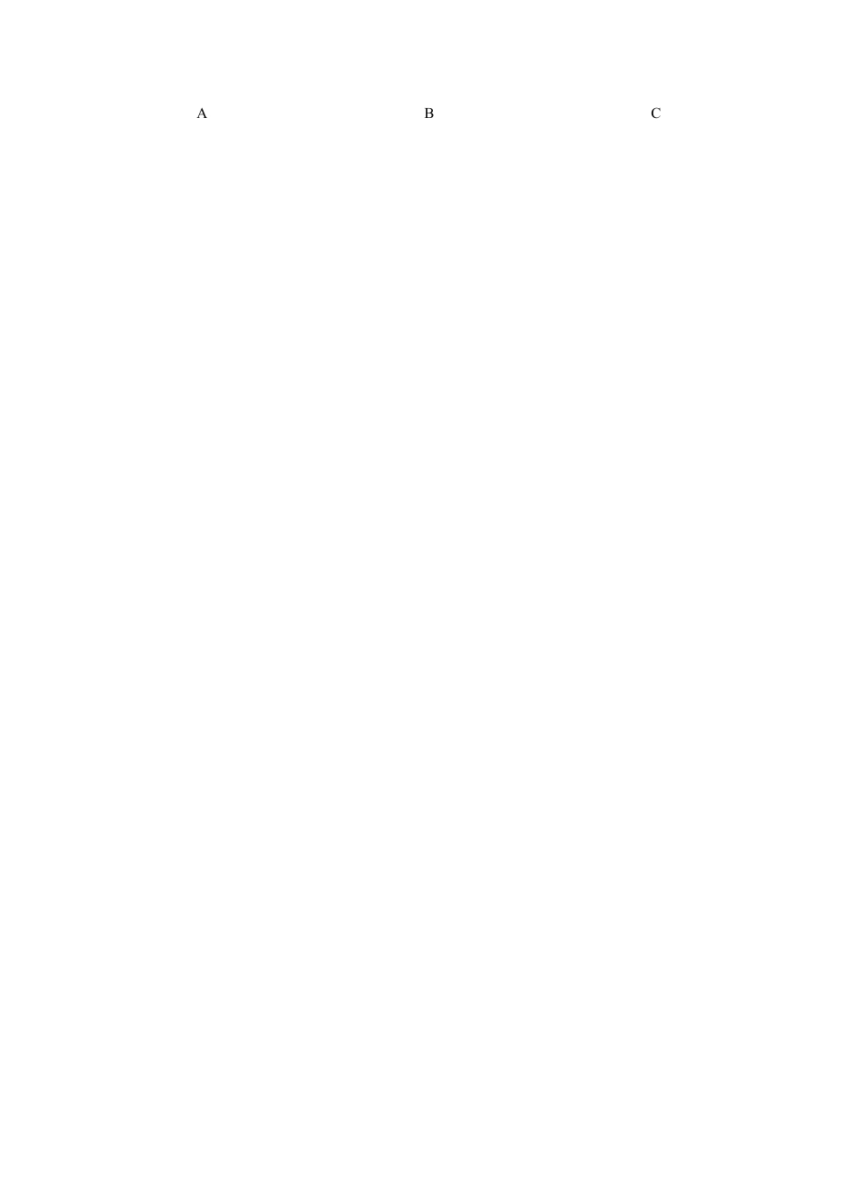 外研版九年级上册试题-Module 10 Australia 话题10 国家与民族（基础版） 试题.docx_第2页