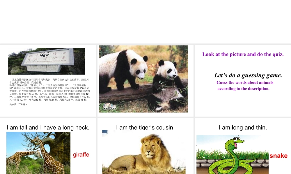 外研版初中英语PPT课件-Module 6  Unit 1.ppt