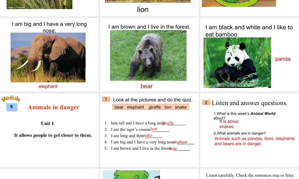 外研版初中英语PPT课件-Module 6  Unit 1.ppt