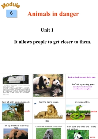 外研版初中英语PPT课件-Module 6  Unit 1.ppt