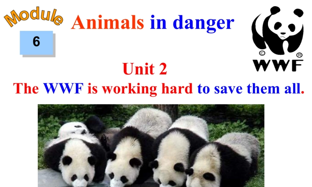 外研版初中英语PPT课件-Module 6  Unit 2.ppt