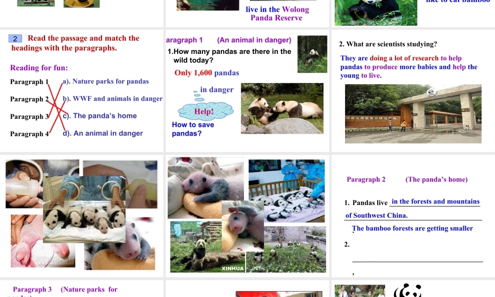 外研版初中英语PPT课件-Module 6  Unit 2.ppt