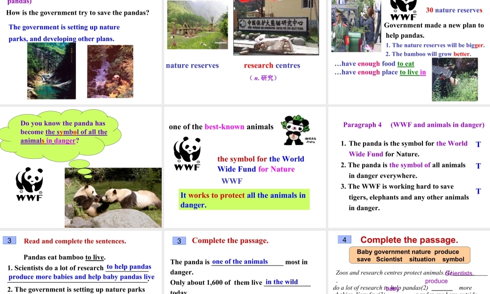 外研版初中英语PPT课件-Module 6  Unit 2.ppt