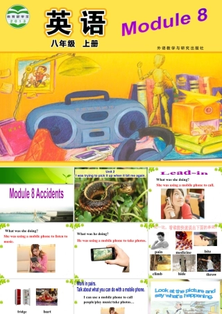 外研版初中英语PPT课件-Module 8  Unit 2.ppt