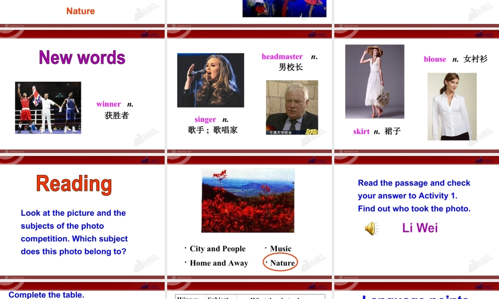 外研版初中英语九年级上-Unit 2教案 (8).ppt