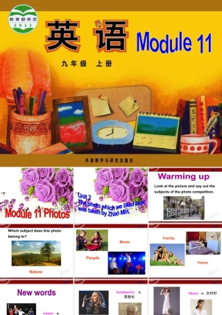 外研版初中英语九年级上-Unit 2教案 (8).ppt