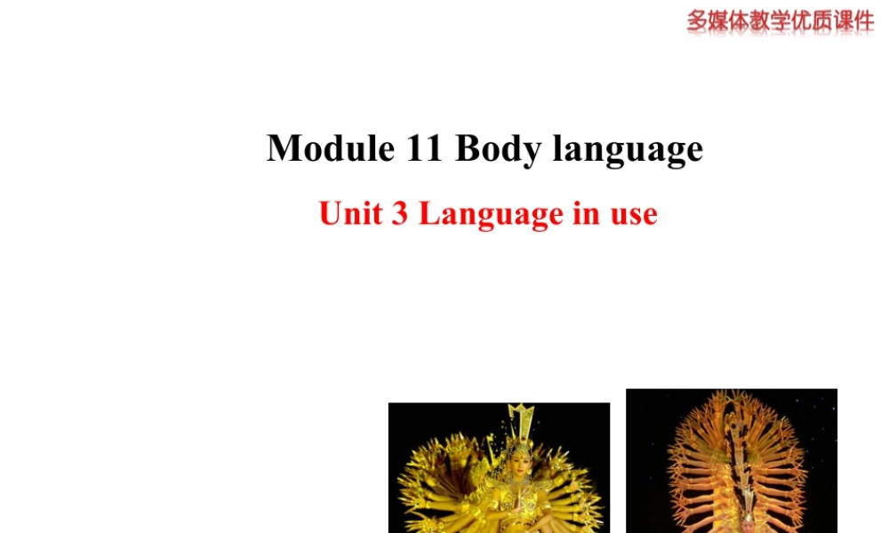 外研版初中英语七年级下册-单元课件-Module 11 Unit 3.ppt
