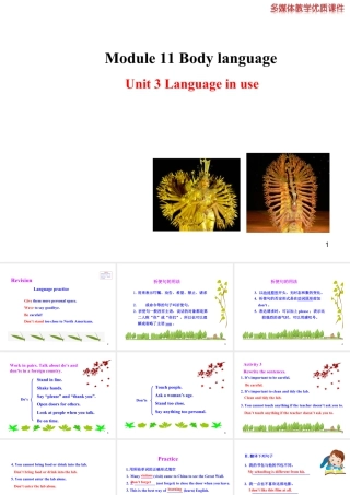 外研版初中英语七年级下册-单元课件-Module 11 Unit 3.ppt