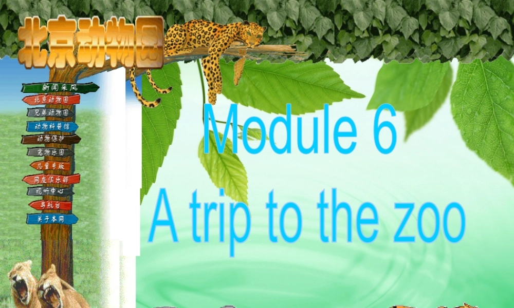 外研版七年级英语上册Module6 Unit1 课件 (共34张PPT).ppt