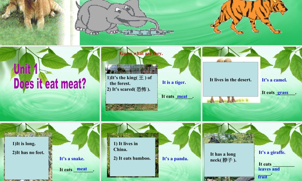 外研版七年级英语上册Module6 Unit1 课件 (共34张PPT).ppt