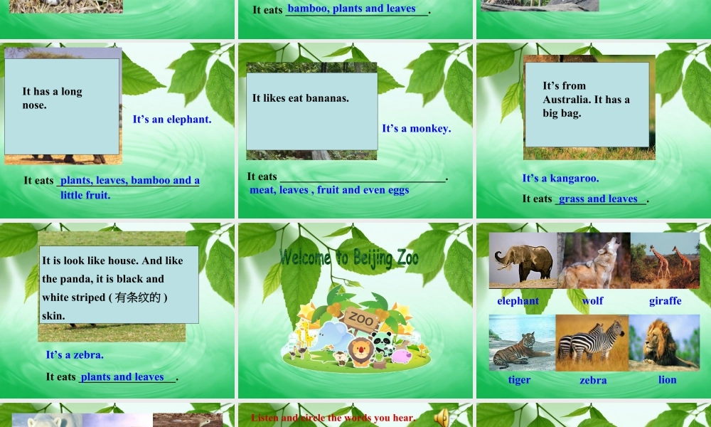 外研版七年级英语上册Module6 Unit1 课件 (共34张PPT).ppt