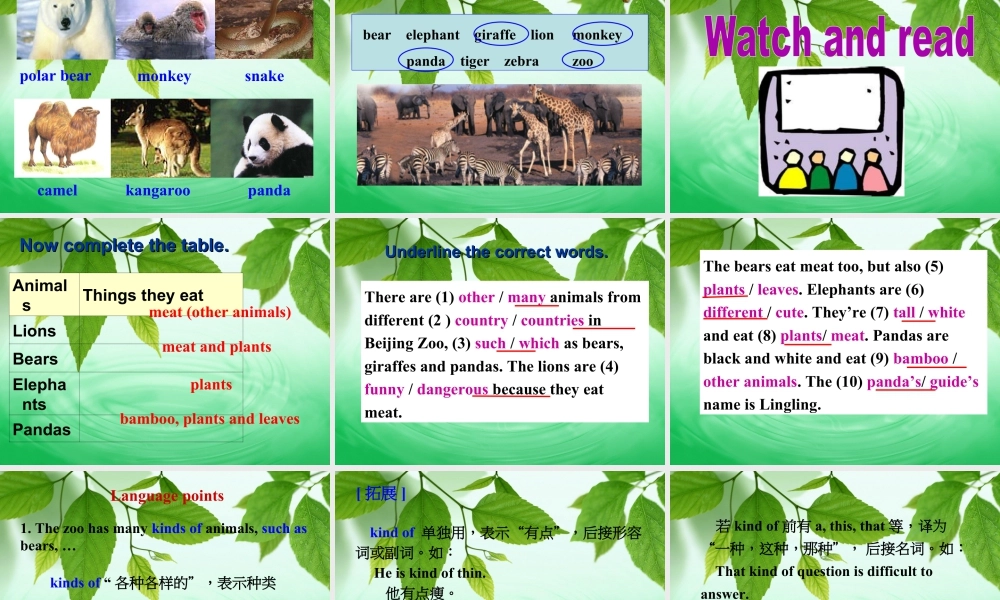 外研版七年级英语上册Module6 Unit1 课件 (共34张PPT).ppt