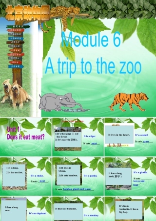 外研版七年级英语上册Module6 Unit1 课件 (共34张PPT).ppt